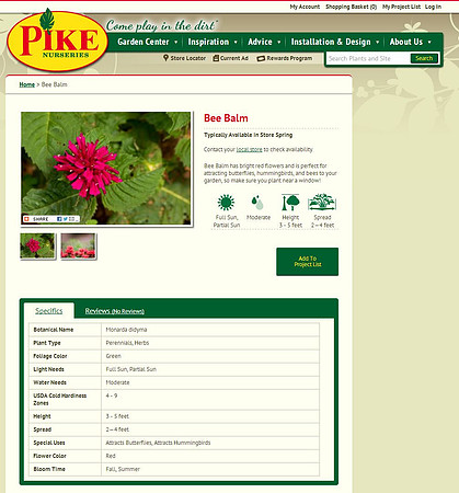 Pike Nurseries - Bee Balm