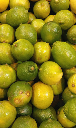 Limes
