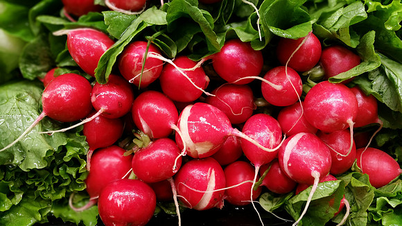 Radishes