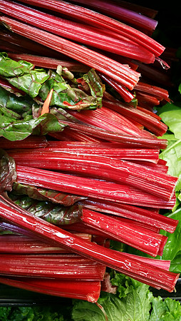 Rhubarb