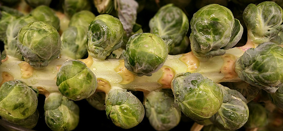 Brussel Sprouts