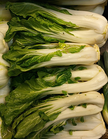 Bok Choy