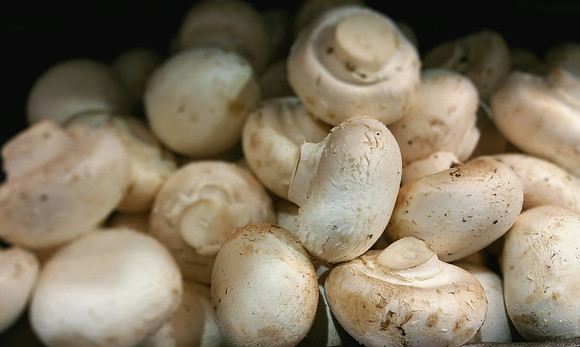 Mushrooms