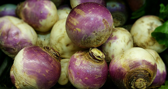 Radishes