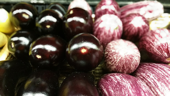 Eggplant