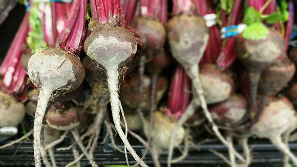 Radishes