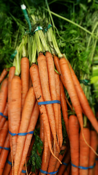 Carrots