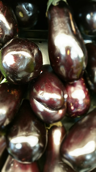 Eggplant