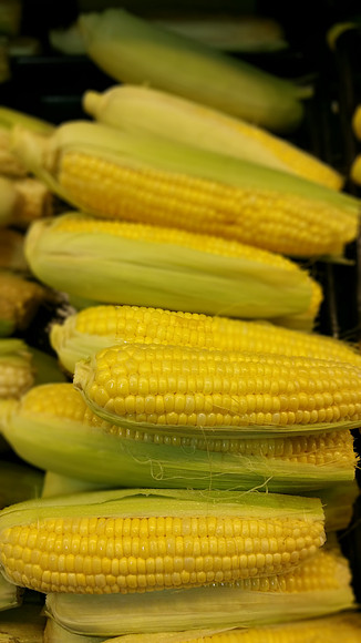Corn on the Cob