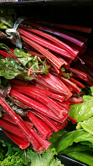 Rhubarb