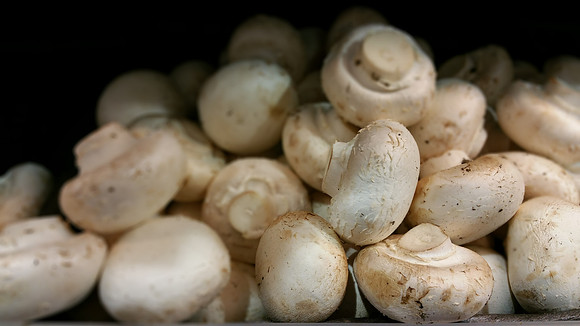 White Mushrooms