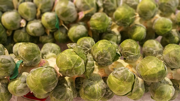 Brussel Sprouts