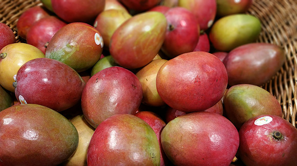Mangoes