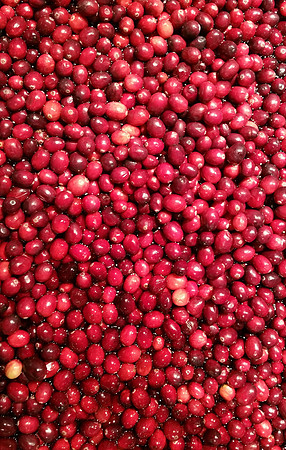 Cranberries