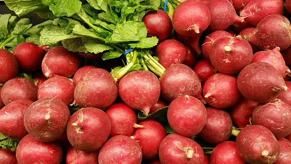 Radishes