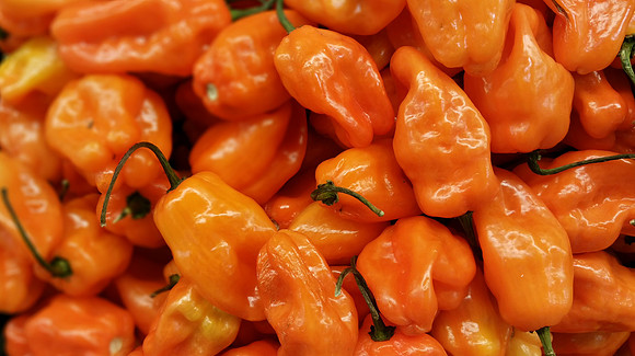 Habanero Peppers