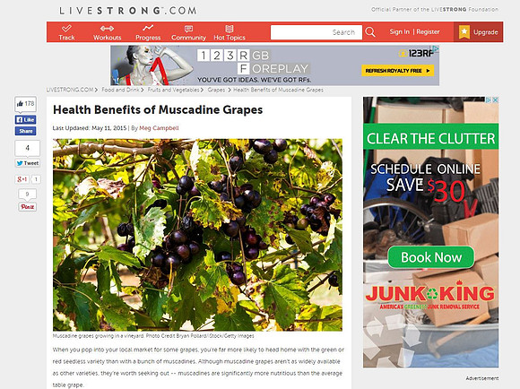 livestrong.com - muscadine grapes