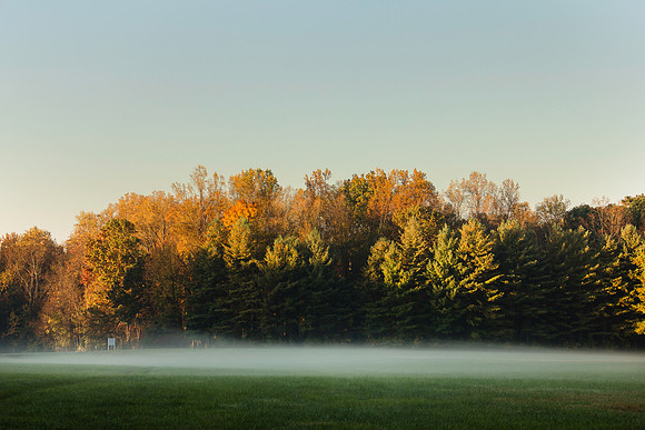 Early Morning Fog