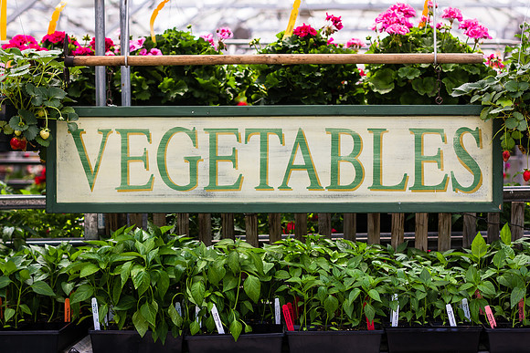 Vegetables Sign