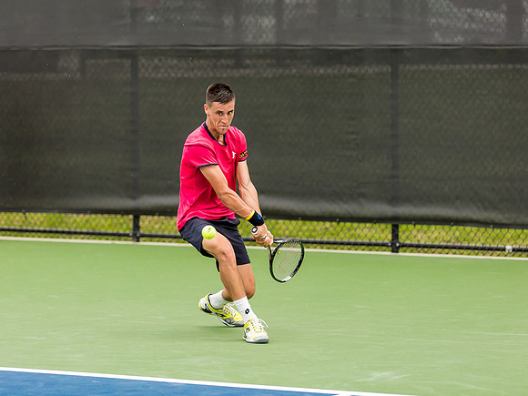 Damir Dzumhur
