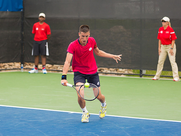 Damir Dzumhur