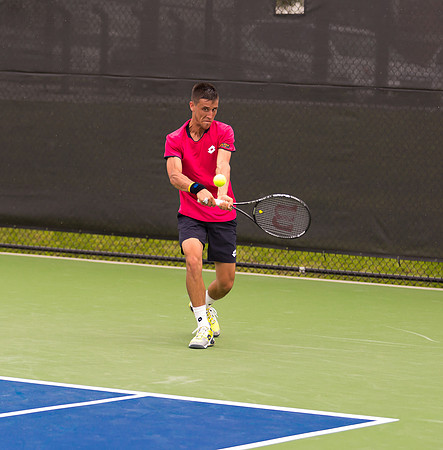 Damir Dzumhur