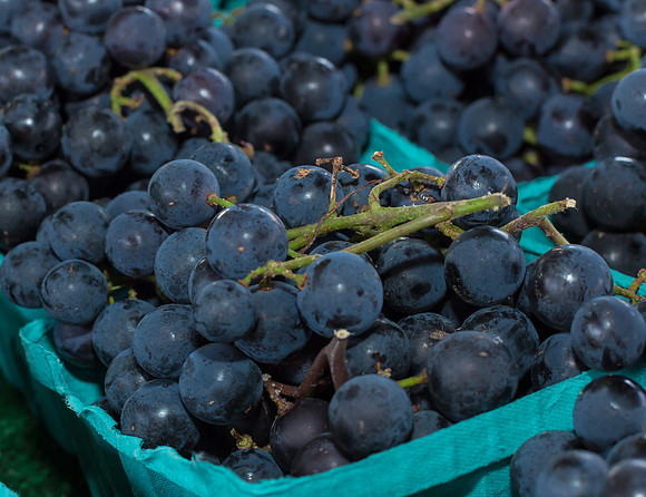 Muscadine Grapes