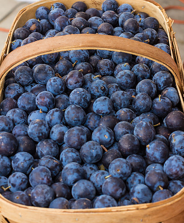 Damson Plums
