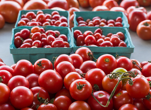 Tomatoes