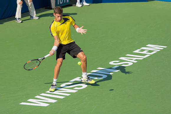 Pablo Carreno Busta