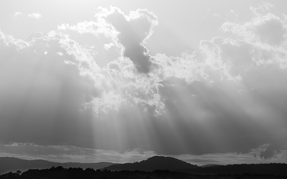 Sunlight in Black and White