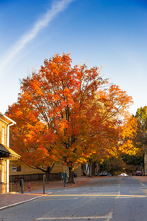 Autumn at Old Salem