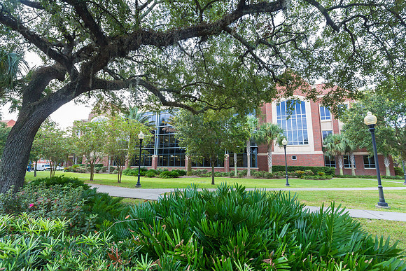 Library West at the University of Florida