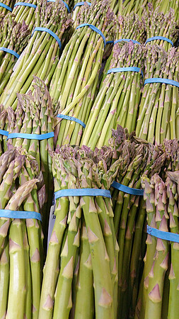 Asparagus