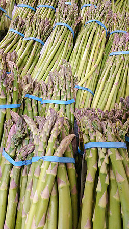 Asparagus