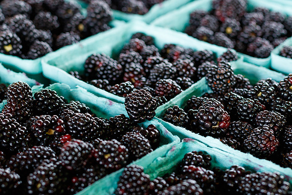 Fresh Blackberries