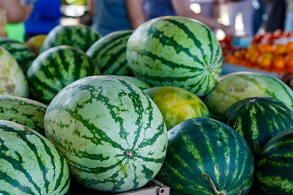 Fresh Watermelons