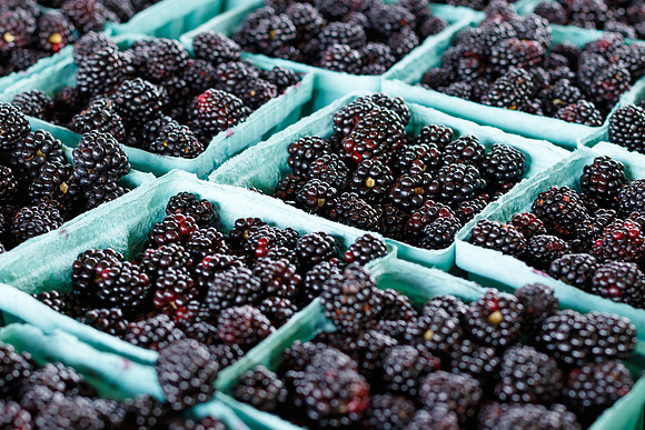 Fresh Blackberries