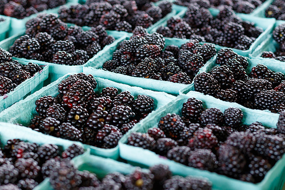 Fresh Blackberries