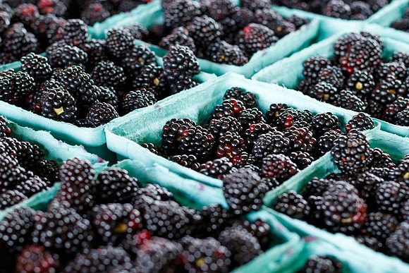 Fresh Blackberries