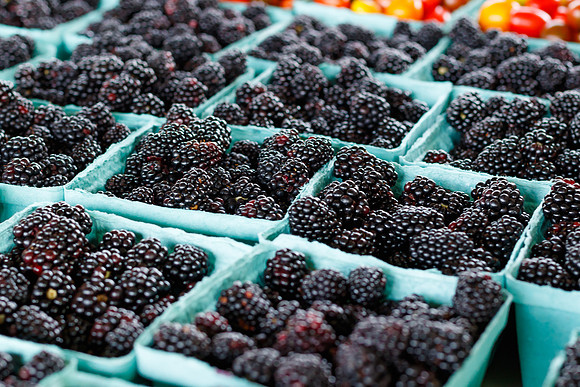 Fresh Blackberries