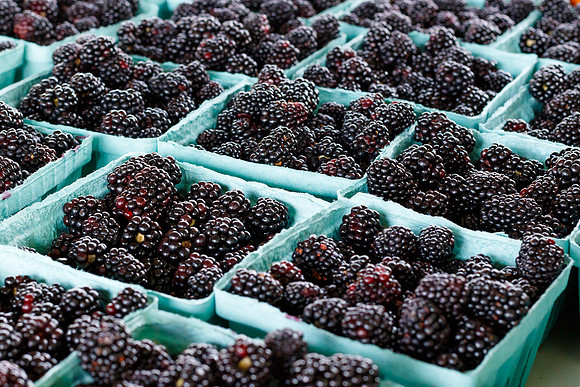Fresh Blackberries