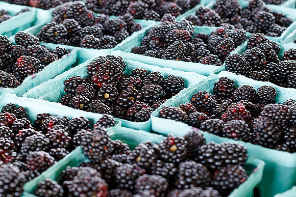 Fresh Blackberries