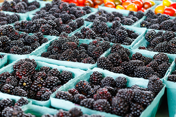 Fresh Blackberries