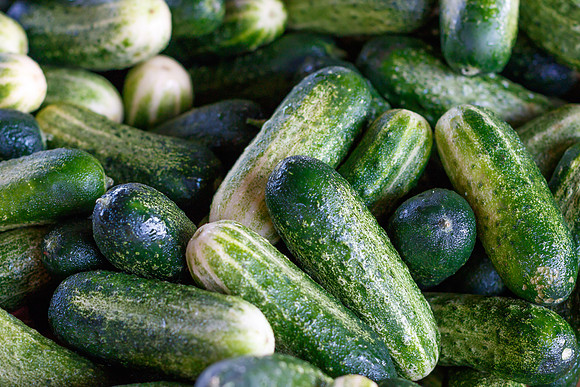 Fresh Cucumbers