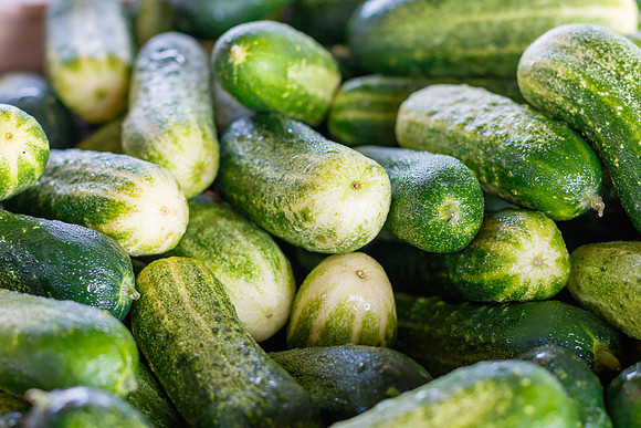 Fresh Cucumbers