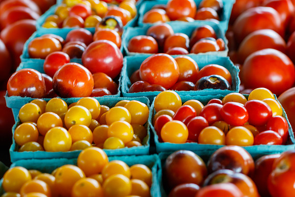 Fresh Tomatoes