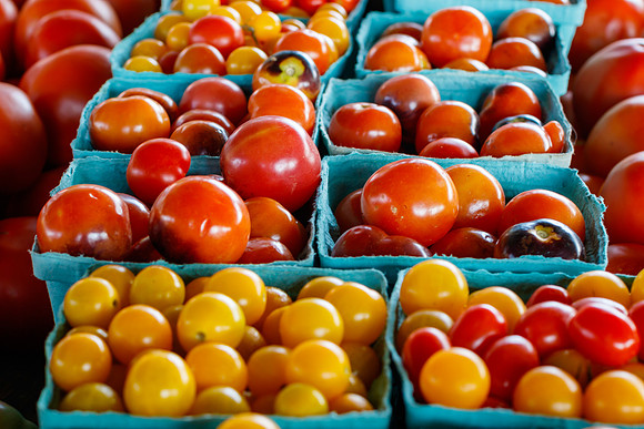 Fresh Tomatoes