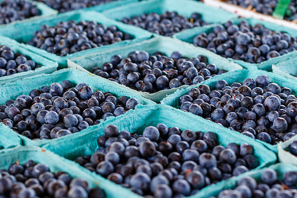 Fresh Blueberries