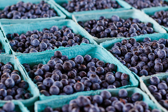 Fresh Blueberries